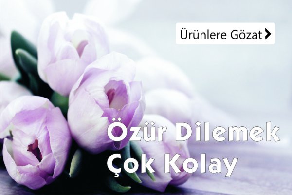 Özür dileme çiçekleri, tavşanlı buse çiçek özür dileme