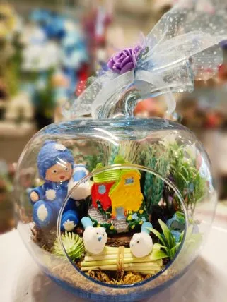 Büyük Elma Teraryum Erkek Bebek - Tavşanlı Çiçekçi