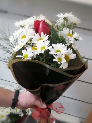 Beyaz Papatyalar ve 1 Gül, tavşanlı çiçek siparişi