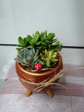 Teraryum 7, Tavşanlı Çiçekçi