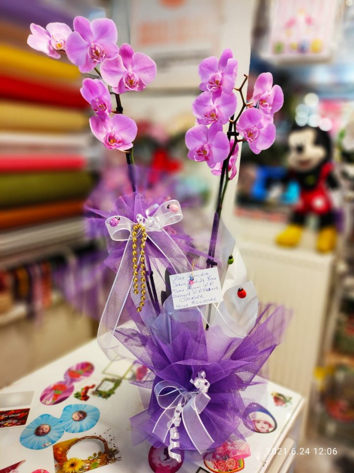 İki Dal Mor Orkide - Tavşanlı Çiçekçi