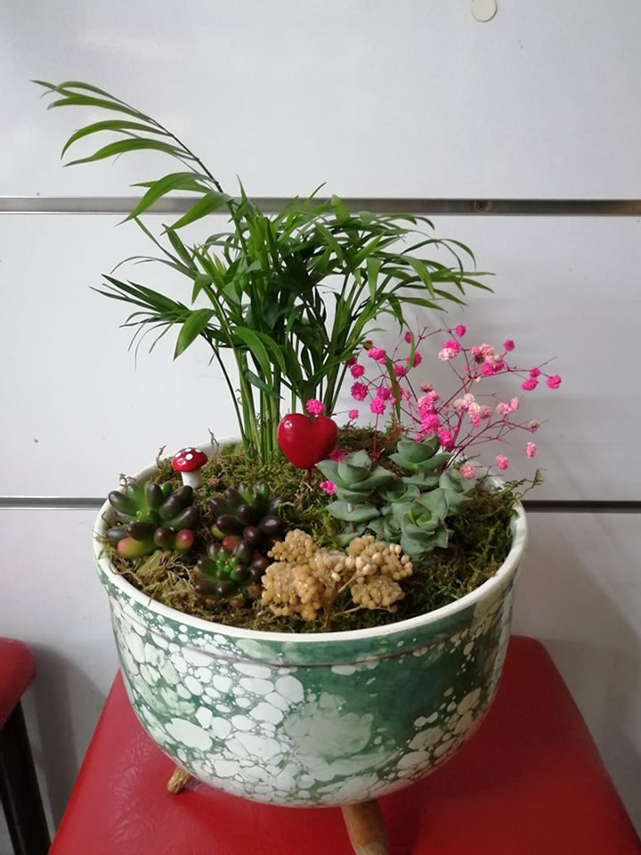 Teraryum 4 - Tavşanlı çiçek