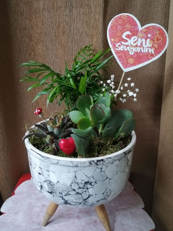 Teraryum 3 - Tavşanlı Çiçekçilik