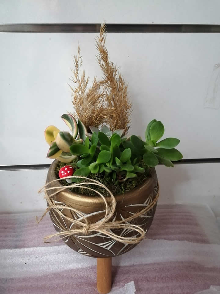 Teraryum 8, Tavşanlı çiçek