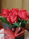 Çiçekçi - Küçük Silindirik Kutuda Kırmızı Güller