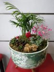Çiçekçi - Teraryum 4